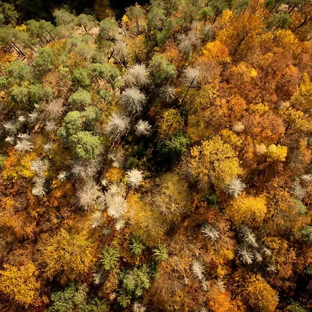 Vysoka Lipa - Stodola, - Barn, Feriested